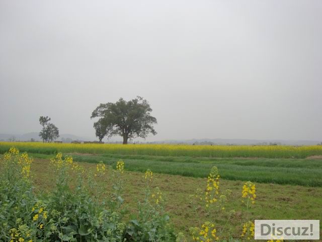 С DSC00574.JPG