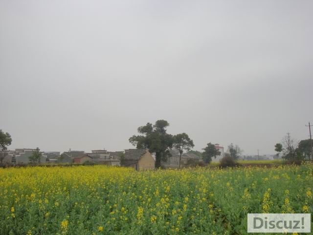 С DSC00578.JPG