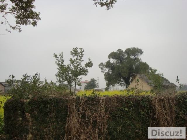 С DSC00580.JPG