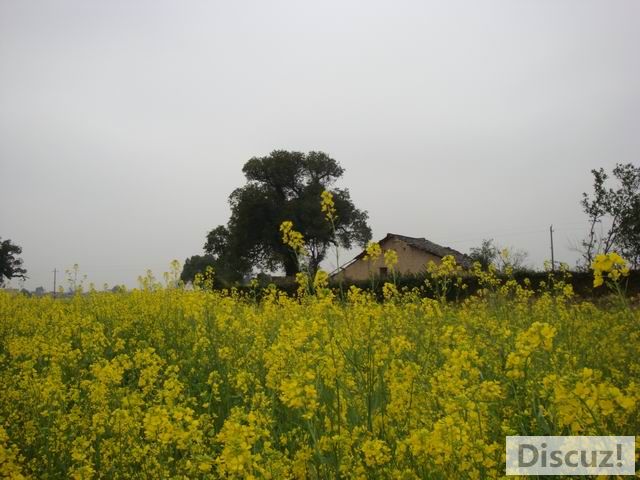 С DSC00582.JPG
