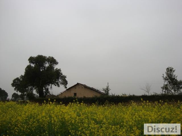 С DSC00583.JPG