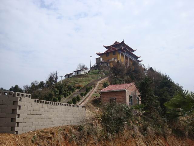 С DSC00532.JPG