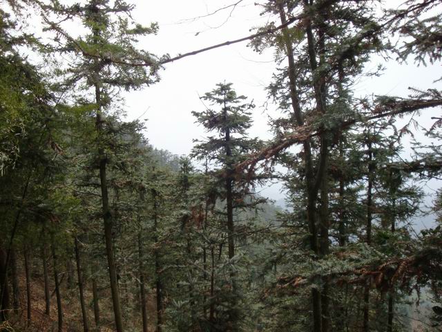 С DSC00534.JPG