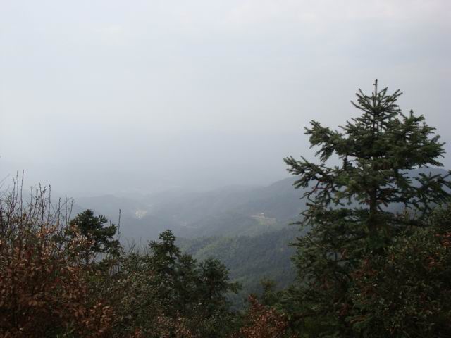 С DSC00539.JPG