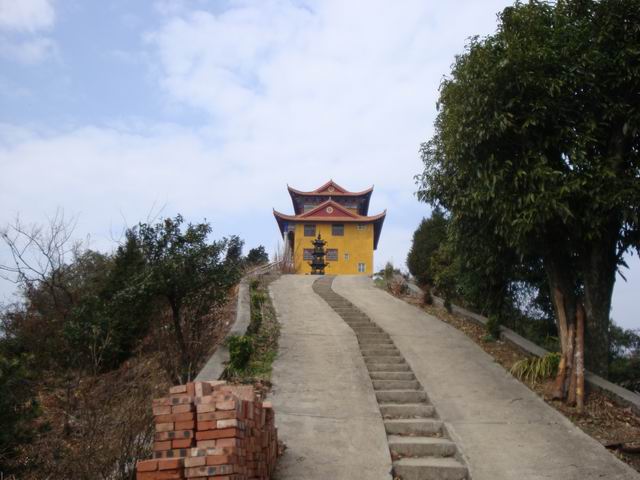 С DSC00537.JPG