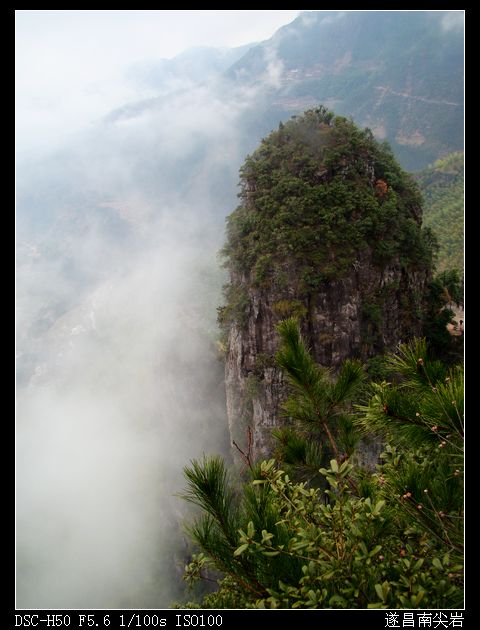 DSC06134.jpg