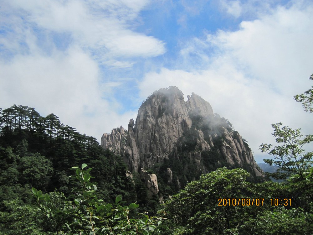 IMG_1775.jpg