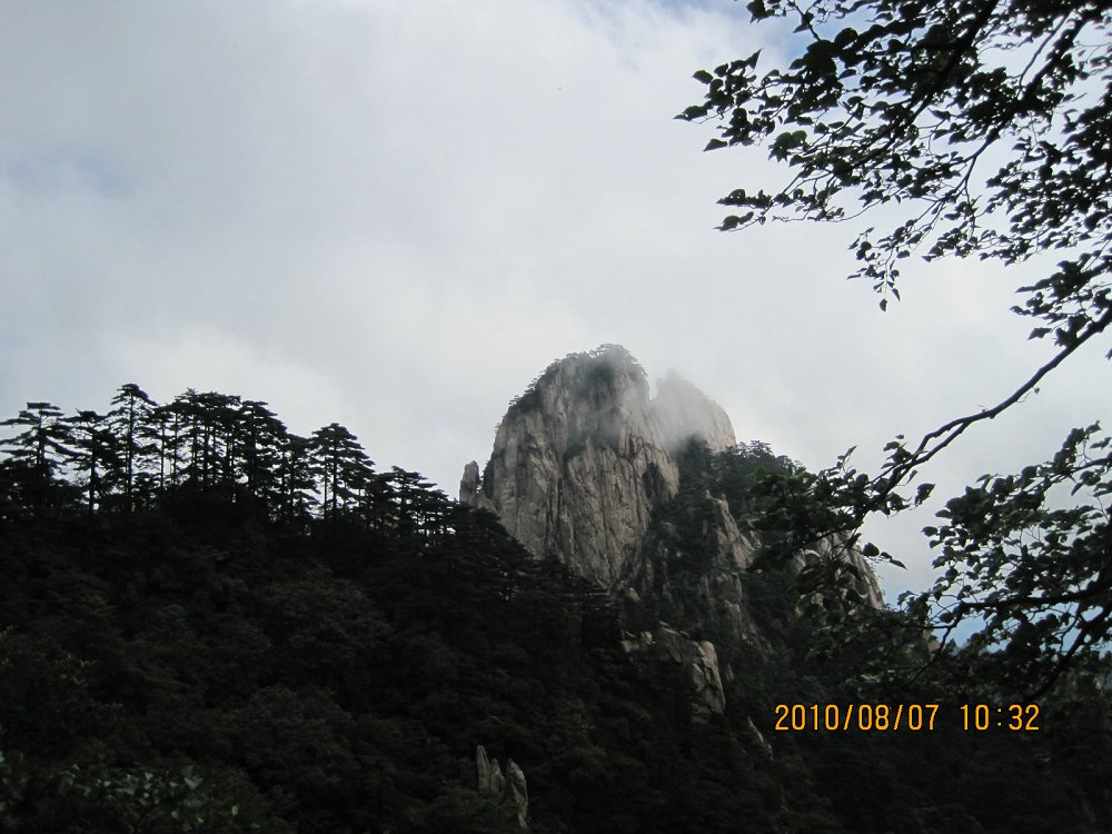 IMG_1780.jpg