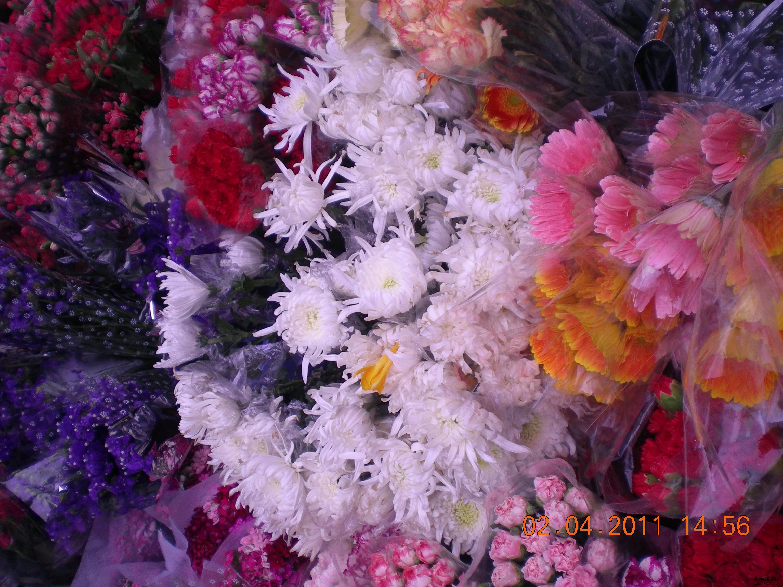 DSCN5313.JPG