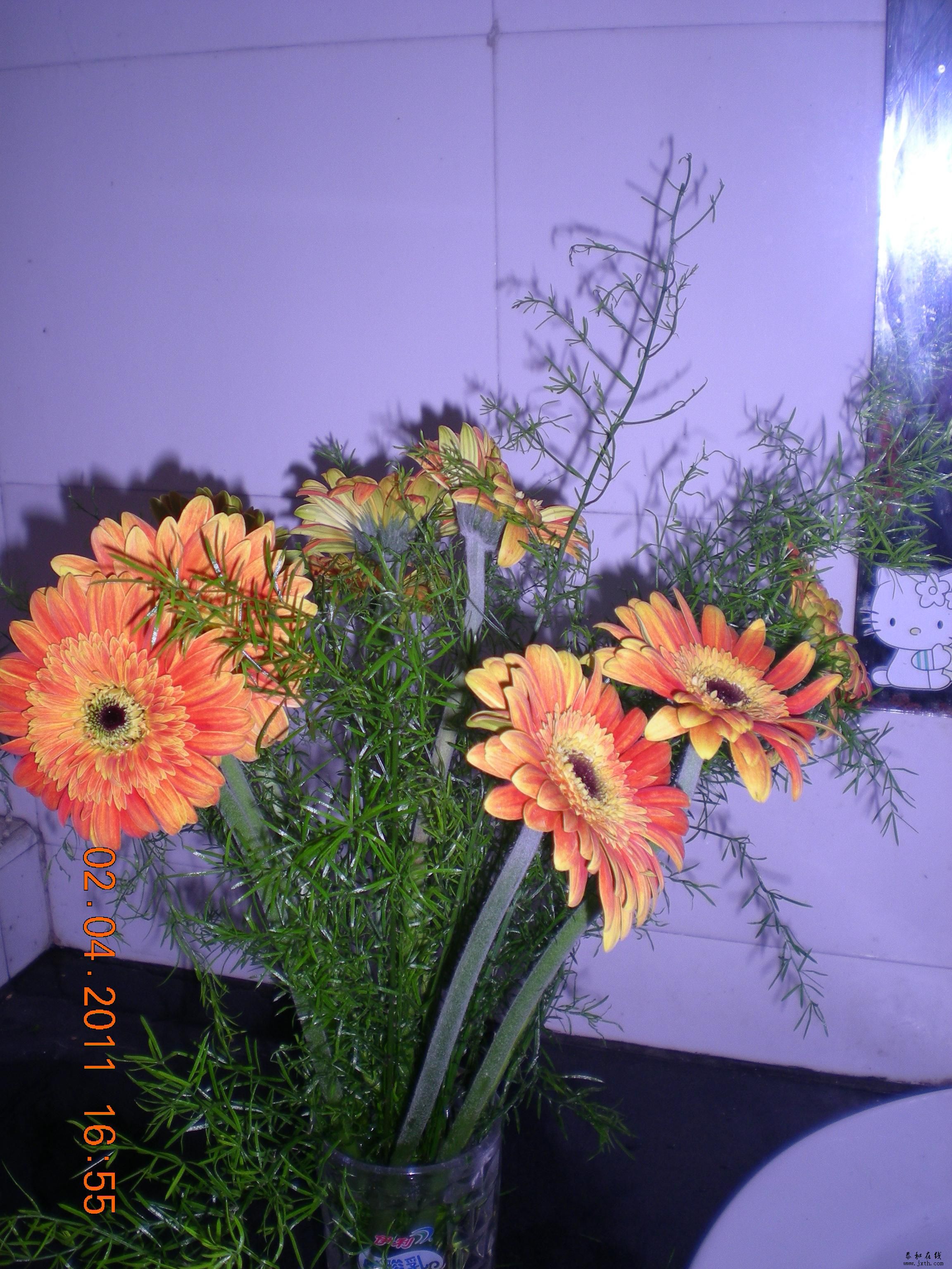 DSCN5358.JPG