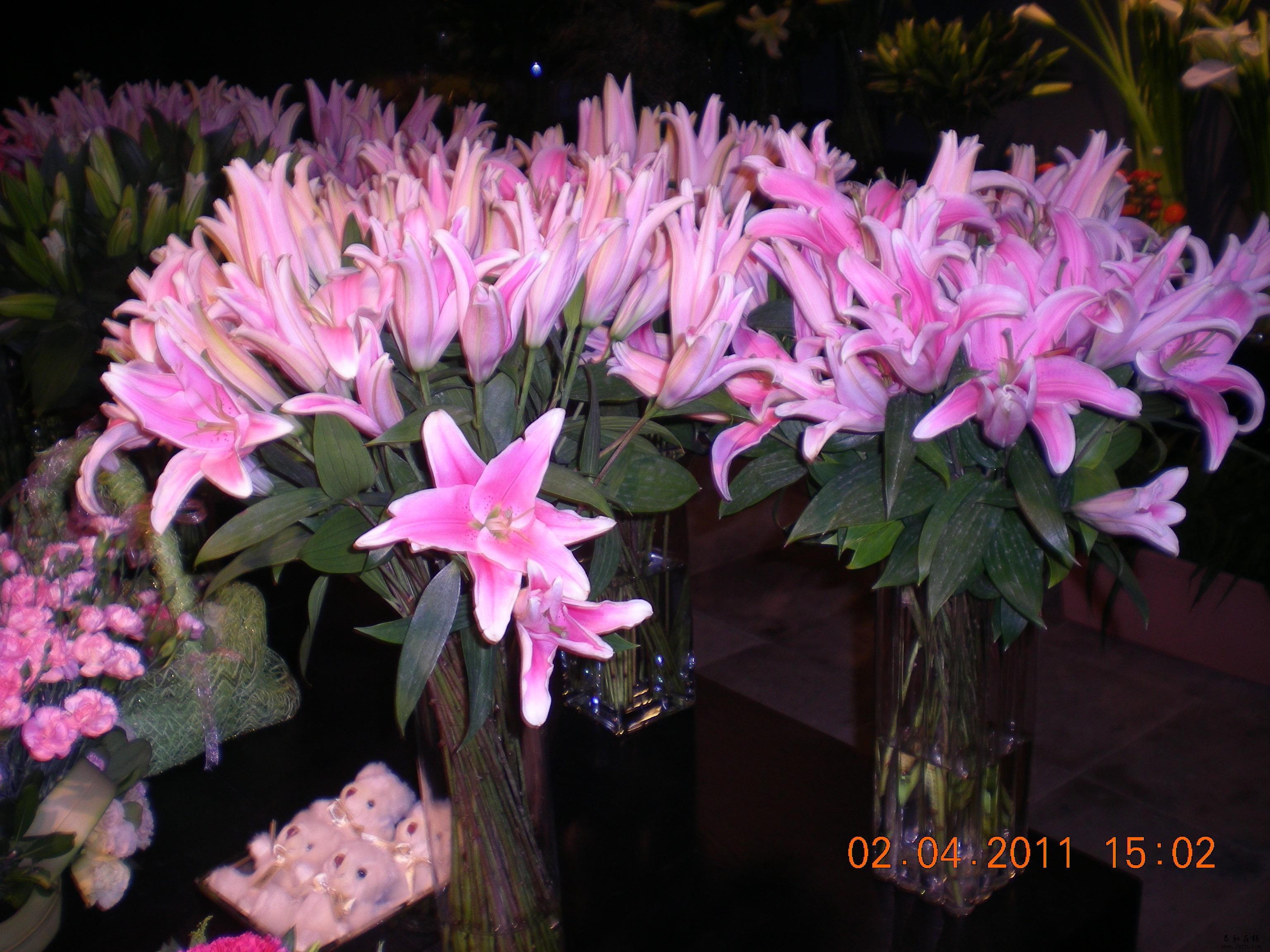 DSCN5324.JPG