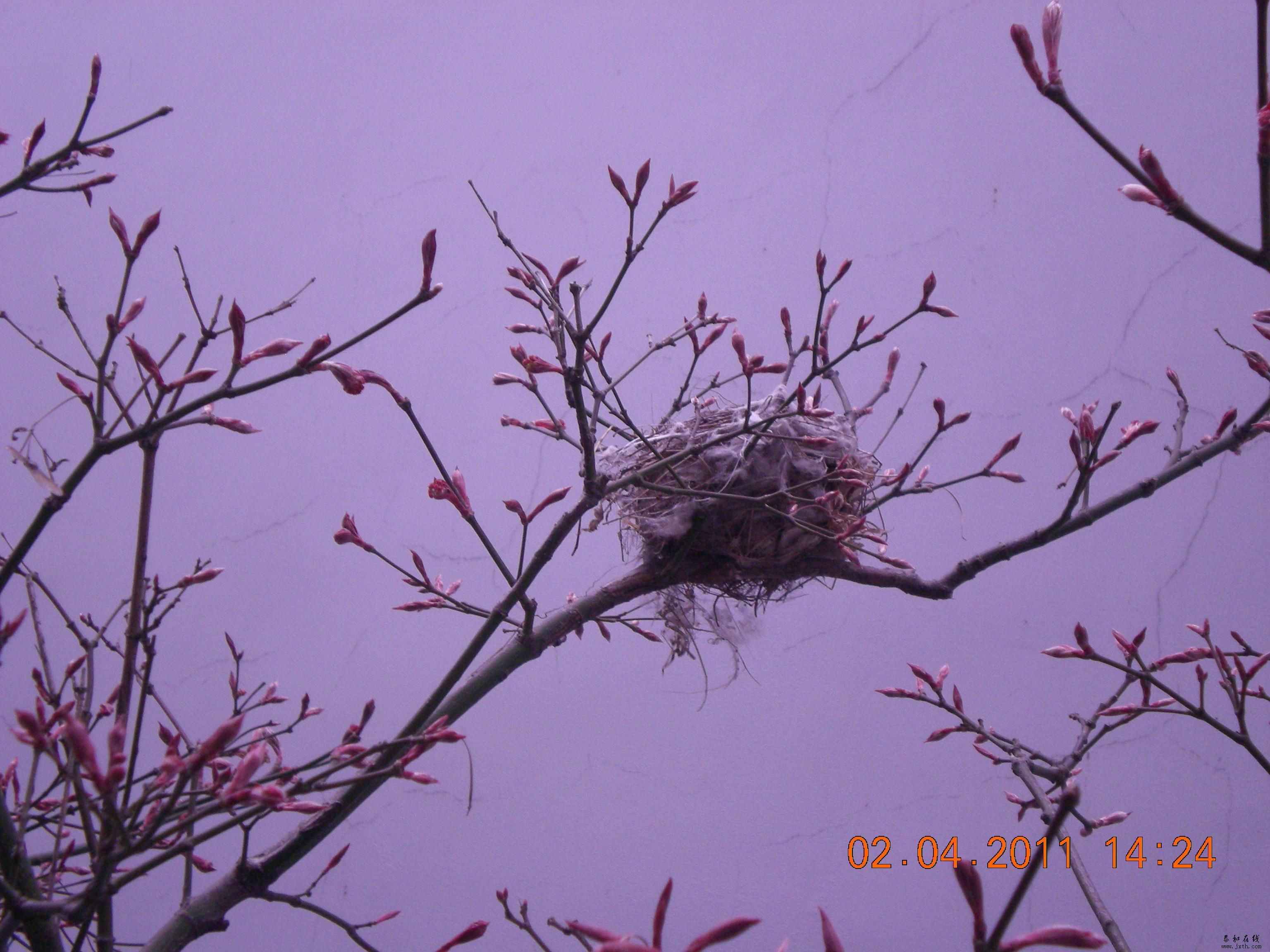 DSCN5200.JPG