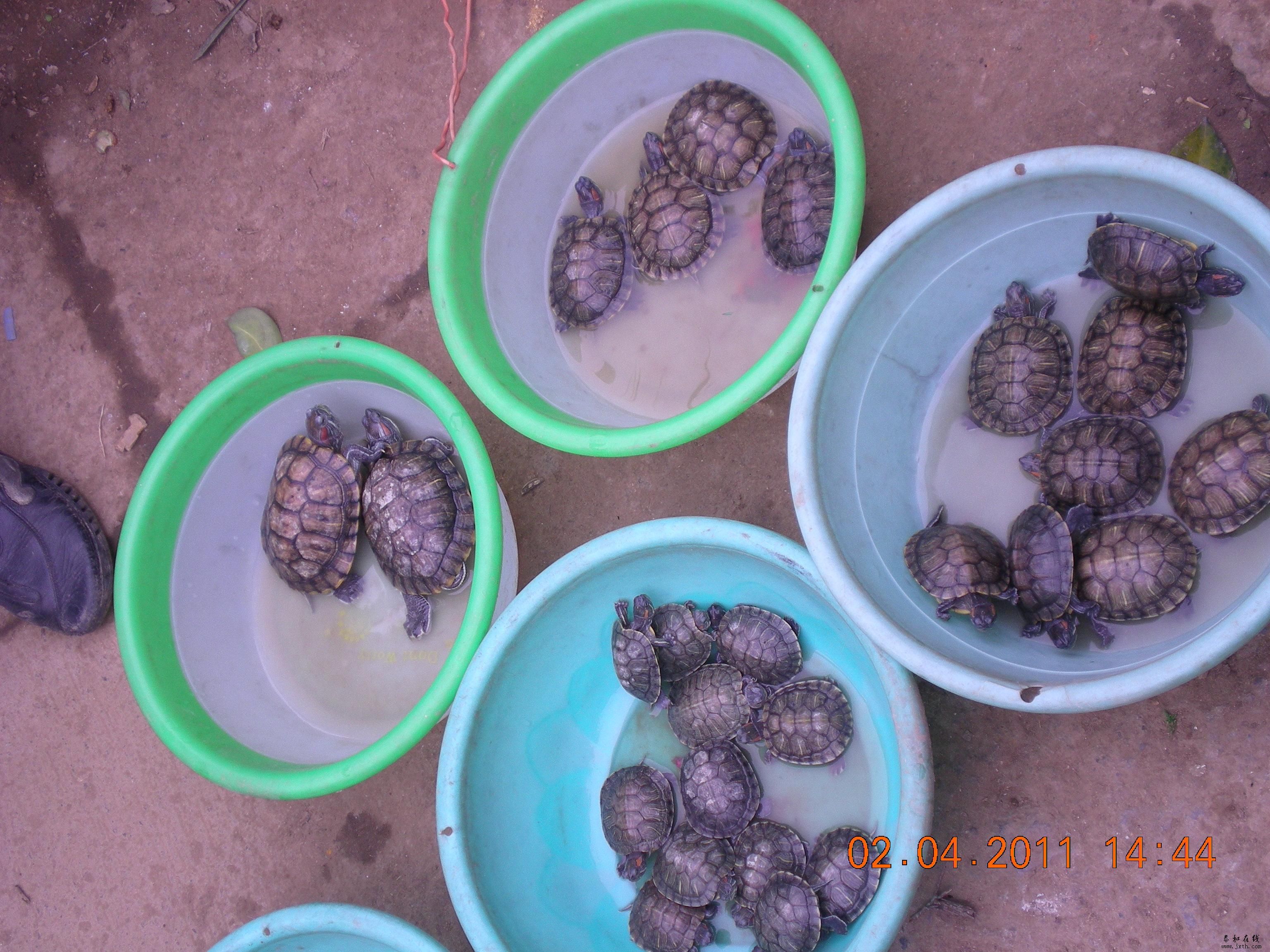 DSCN5272.JPG