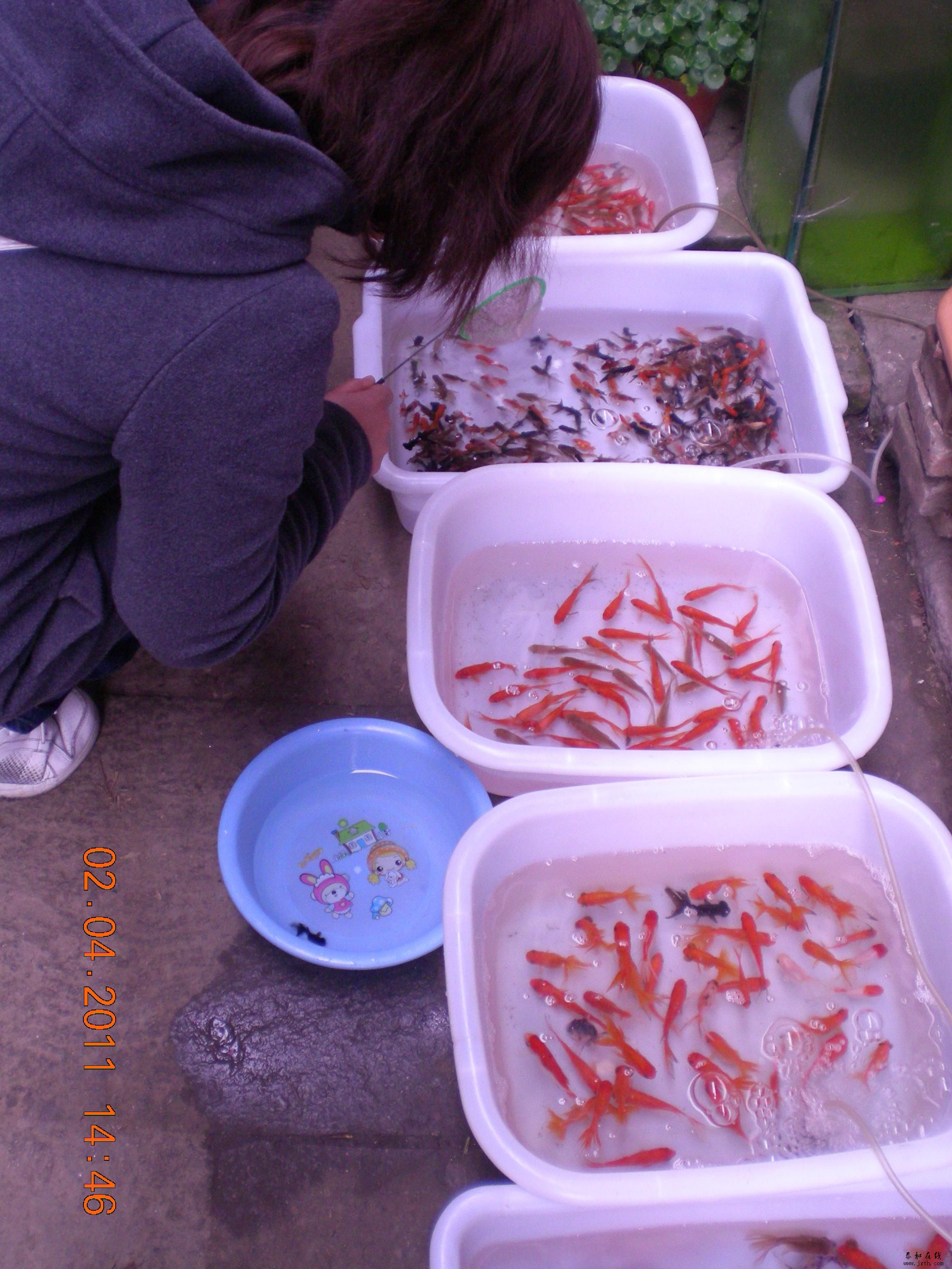 DSCN5277.JPG