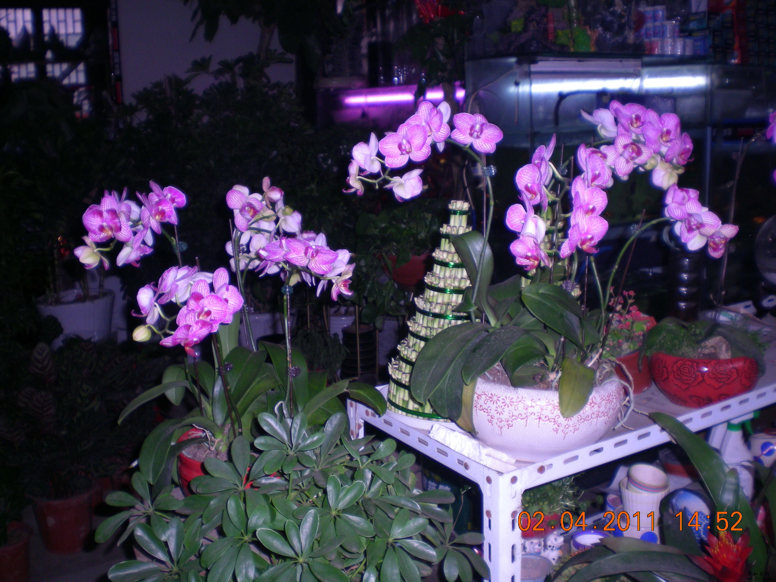 DSCN5301.JPG