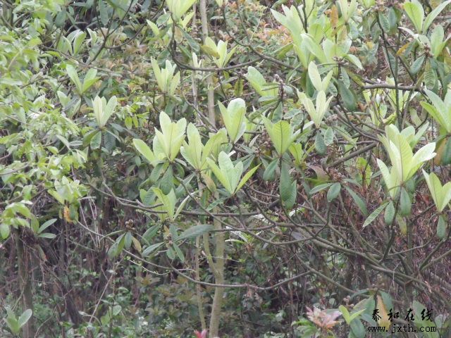 DSCF5144.JPG
