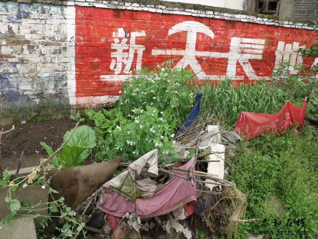 DSCF5145.JPG