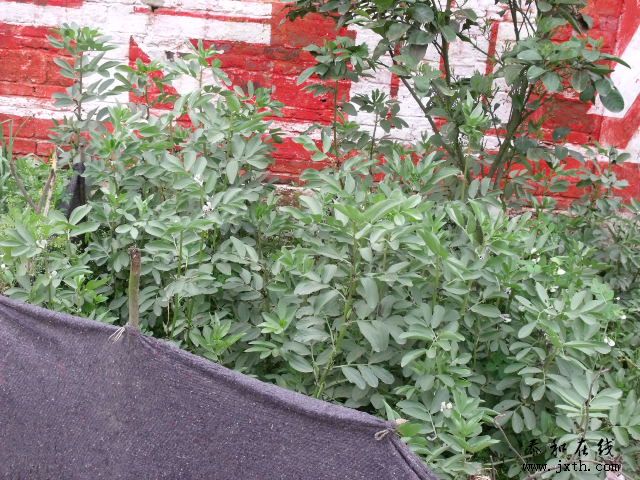 DSCF5149.JPG