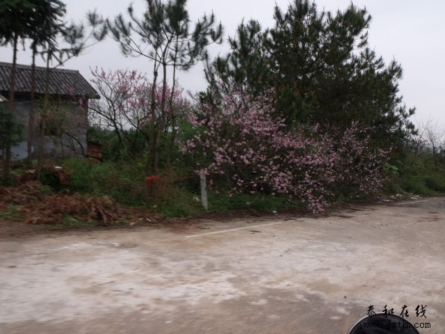 DSCF5183.JPG
