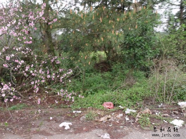 DSCF5184.JPG