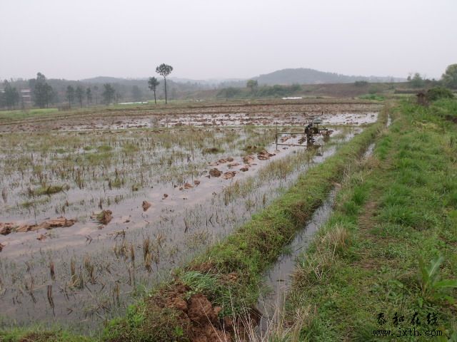 DSCF5382.JPG
