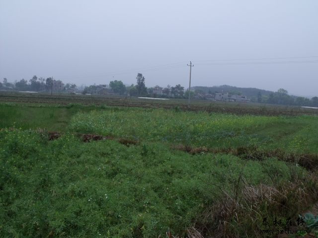DSCF5366.JPG