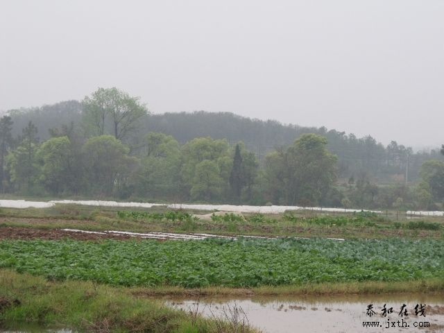 DSCF5371.JPG