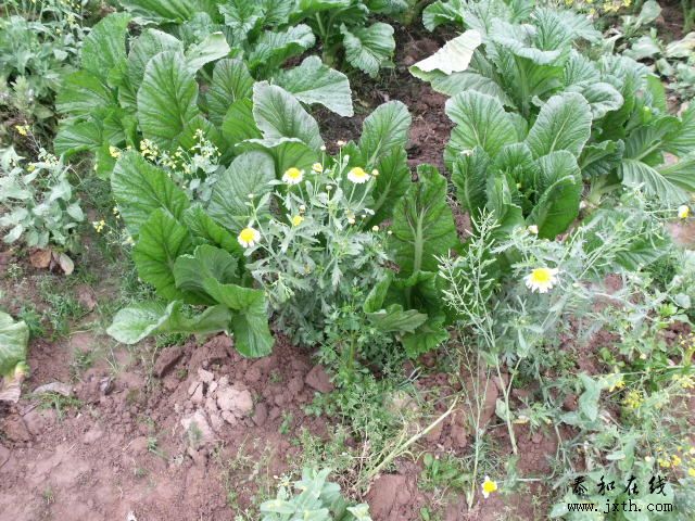 DSCF5367.JPG