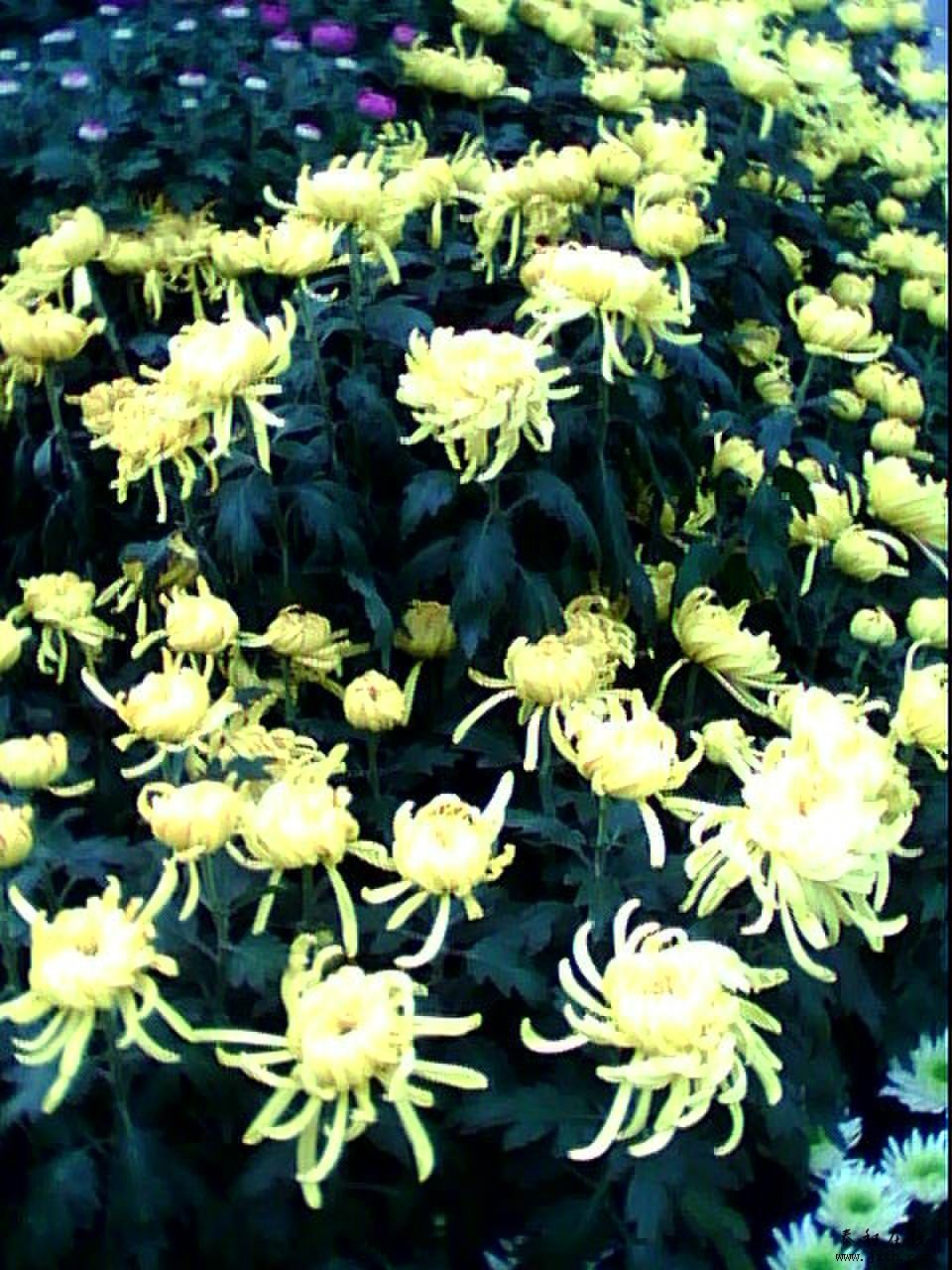 20101017_0919_0.jpg