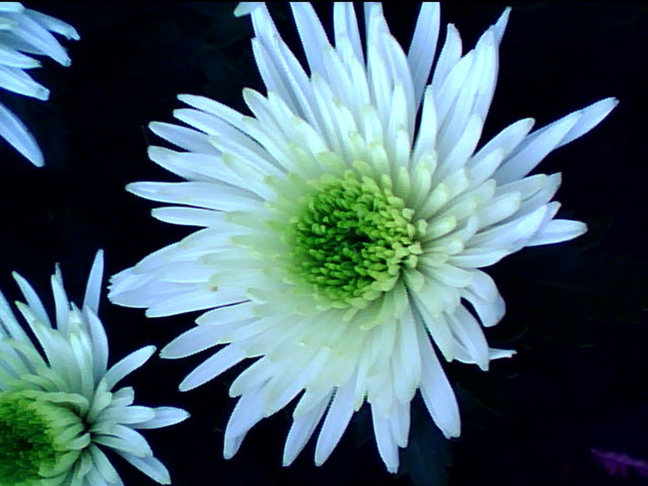 20101017_0921_1.jpg