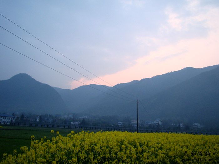 DSC06704.jpg