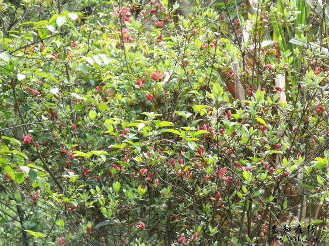 DSCF5616.JPG