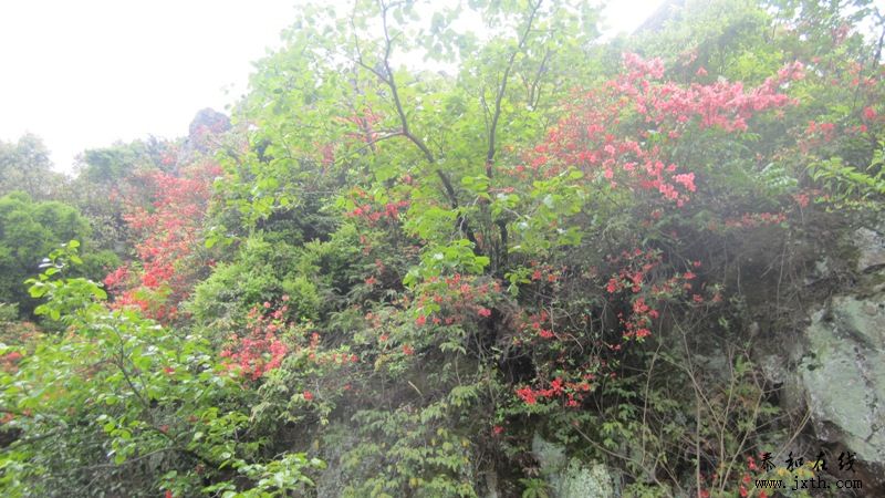 IMG_2333.JPG