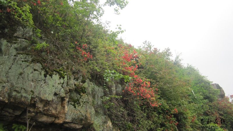 IMG_2334.JPG