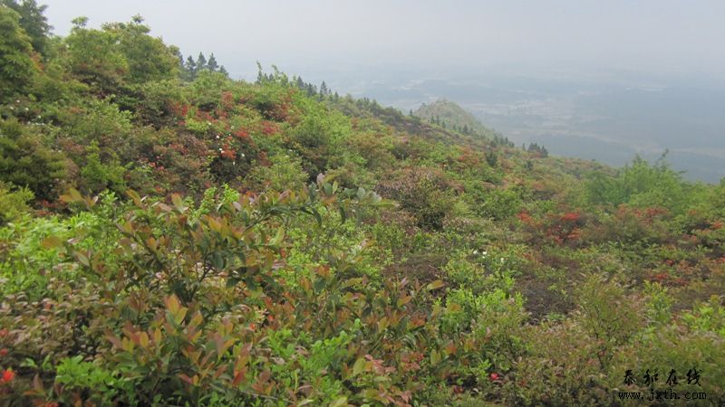 IMG_2368.JPG