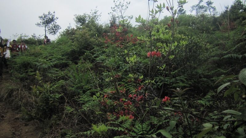 IMG_2344.JPG