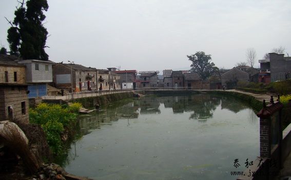 DSC03429.jpg