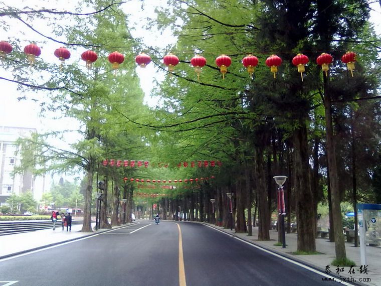 20110422226.jpg