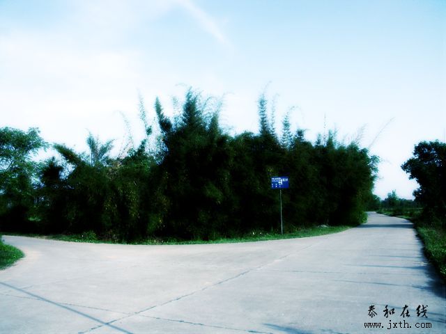 SKZ0007.jpg