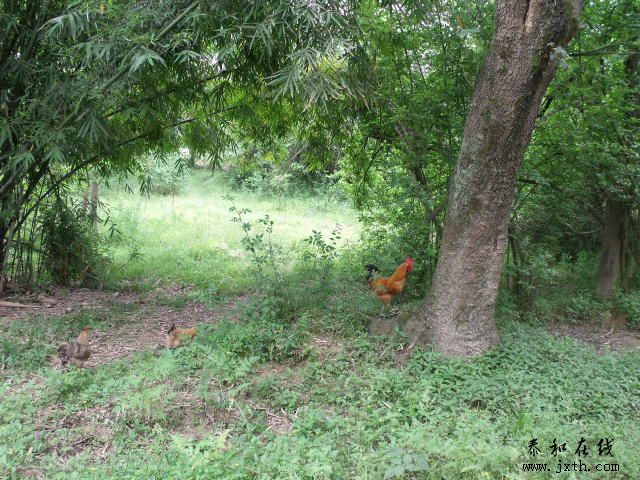 DSCF5842.JPG