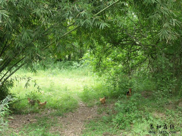 DSCF5843.JPG