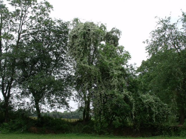 DSCF5865.JPG