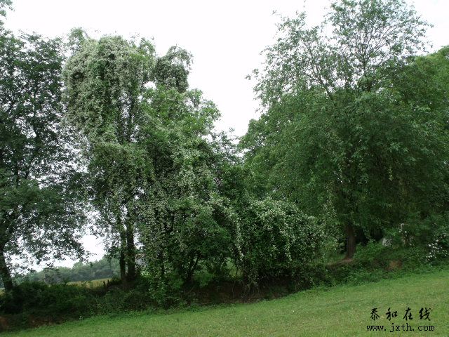 DSCF5866.JPG