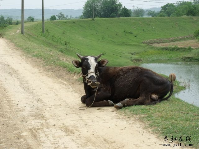 DSCF5910.JPG