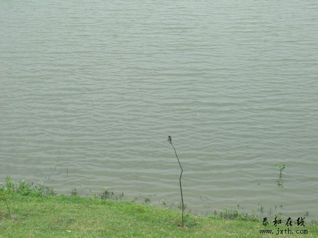 DSCF5911.JPG