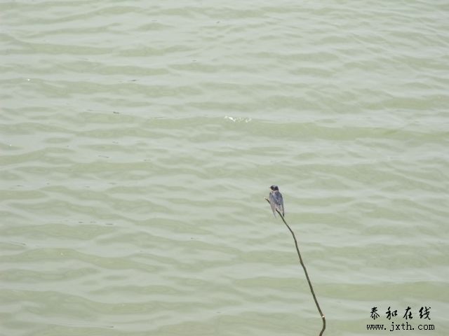 DSCF5912.JPG