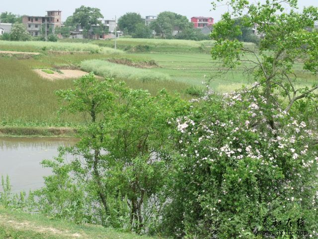DSCF5913.JPG