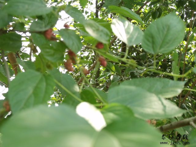DSCF5991.JPG