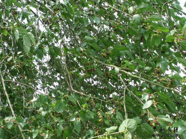 DSCF5993.JPG