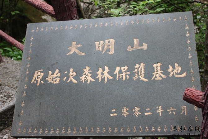 77.jpg